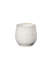 cup, hasu shiny