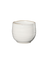 mug, hasu shiny