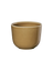 beker, mocha