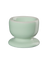 eierdopje, herb