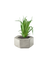 synthetic decoration plant in grey cement pot