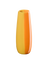 vase, orange smoothie