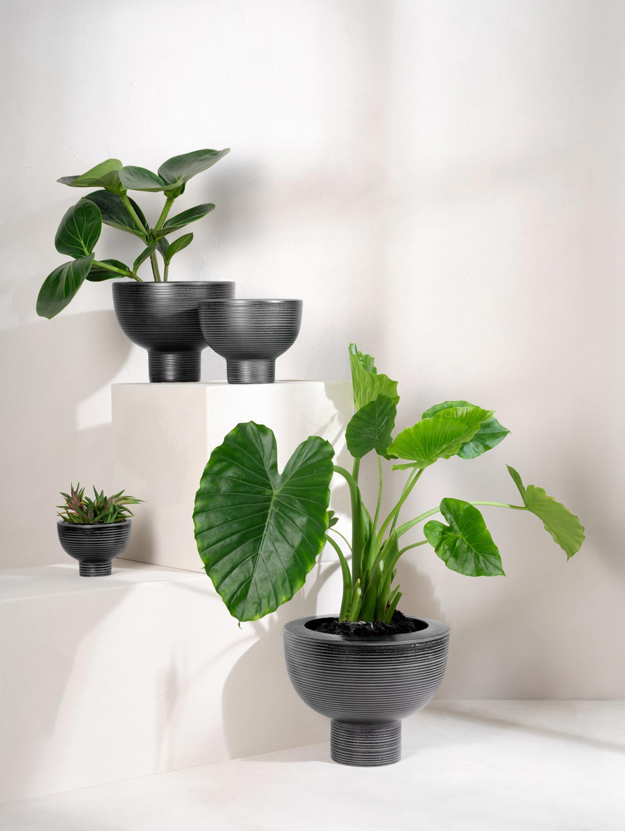 Midoro übertopf auf fuß black 20 cm – ASA Selection