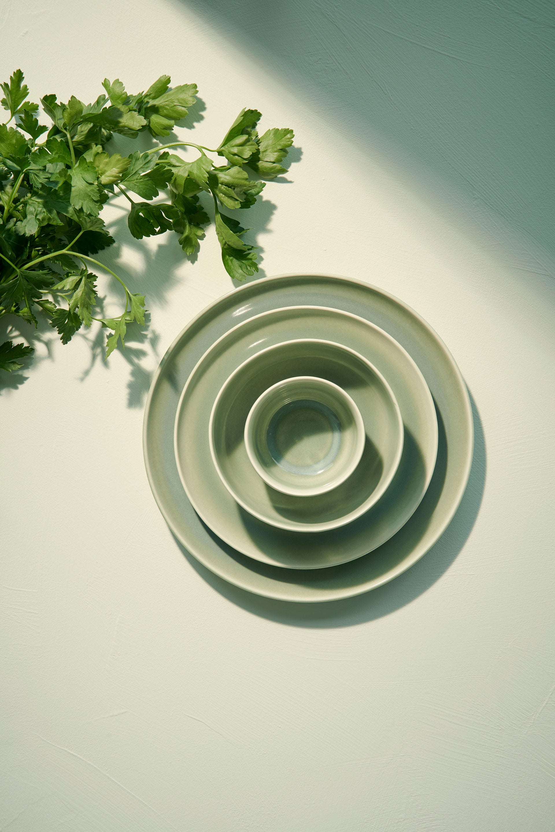 assiette, agave saisons agave