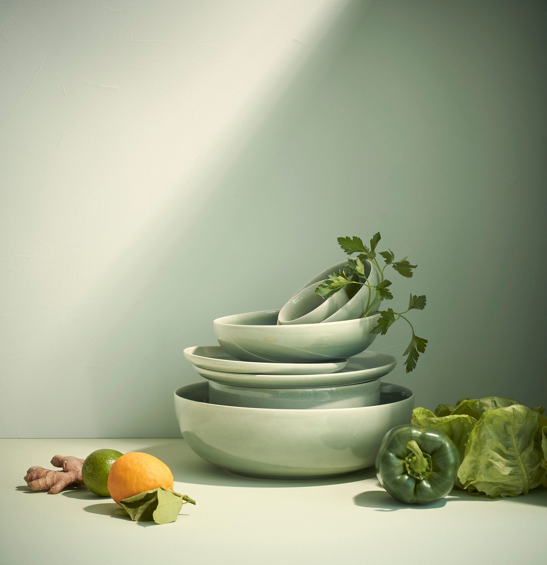 schale, agave saisons agave